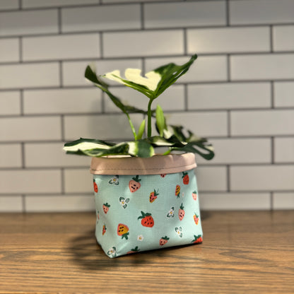 Plant Pots