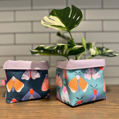 Plant Pots