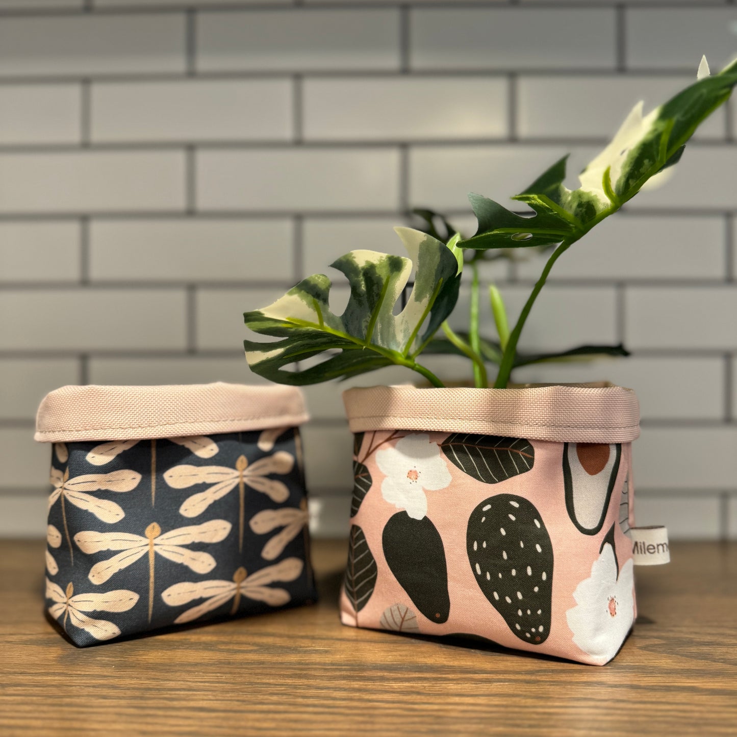 Plant Pots