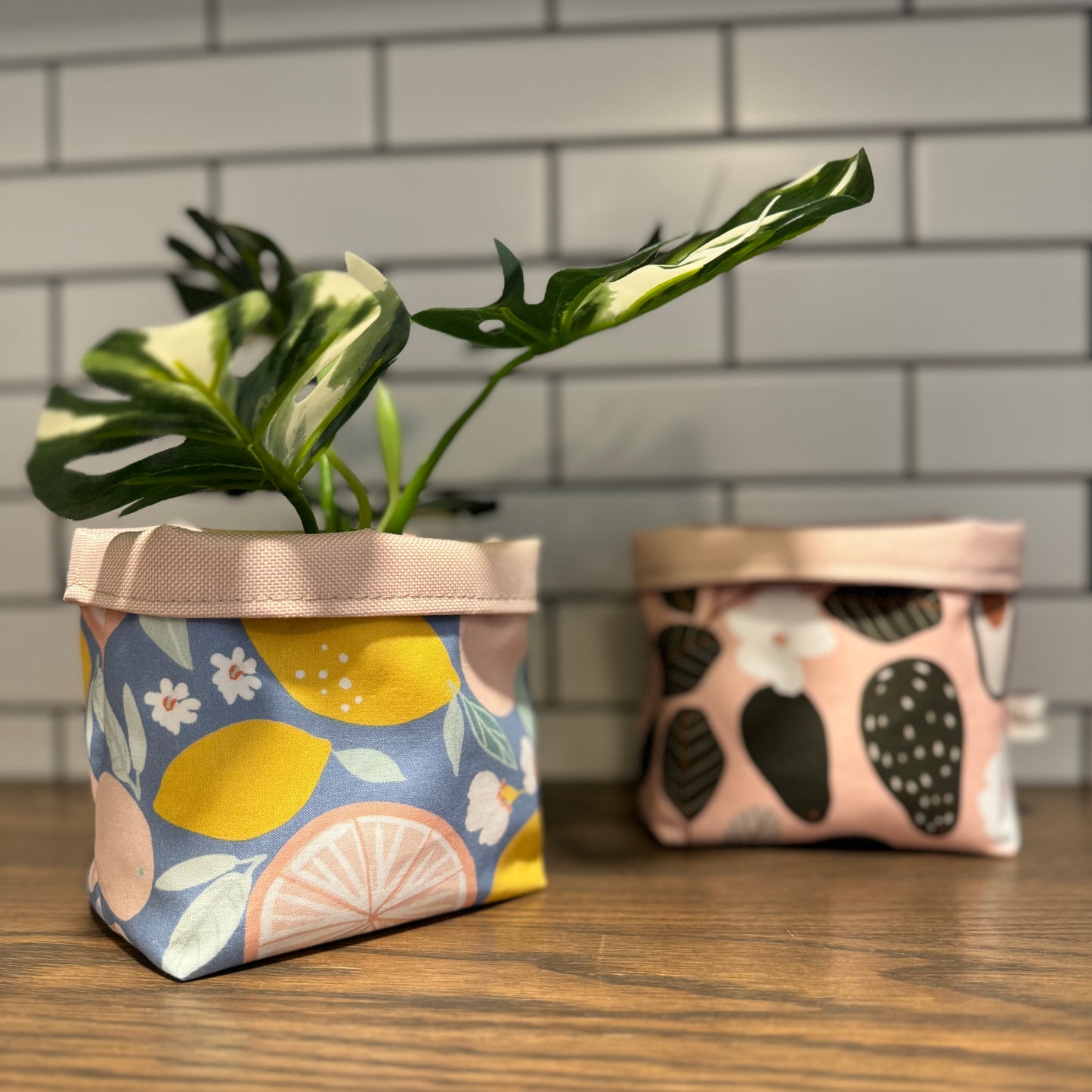 Plant Pots