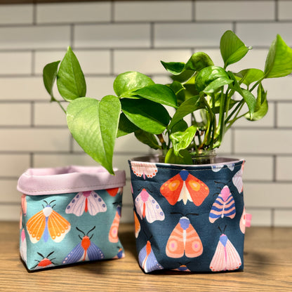 Plant Pots